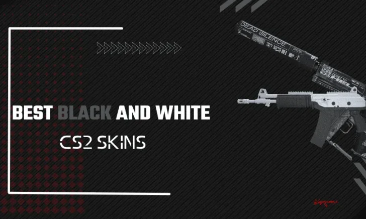 Top 11 Black and White CS2 Skins