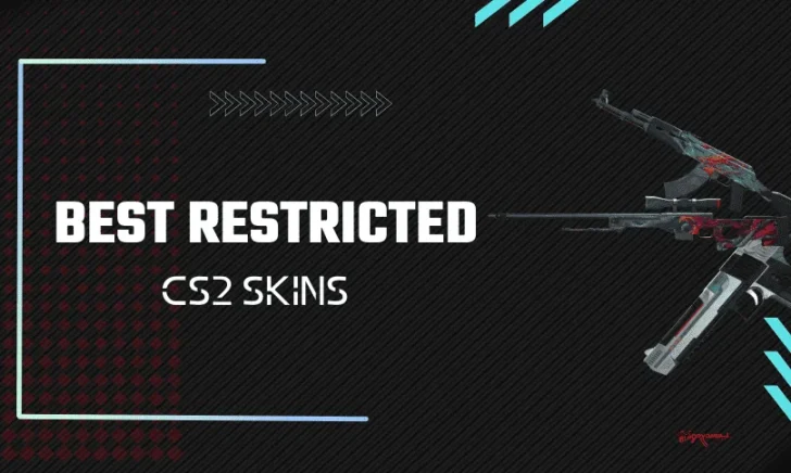 13 Best Restricted CS2 Skins