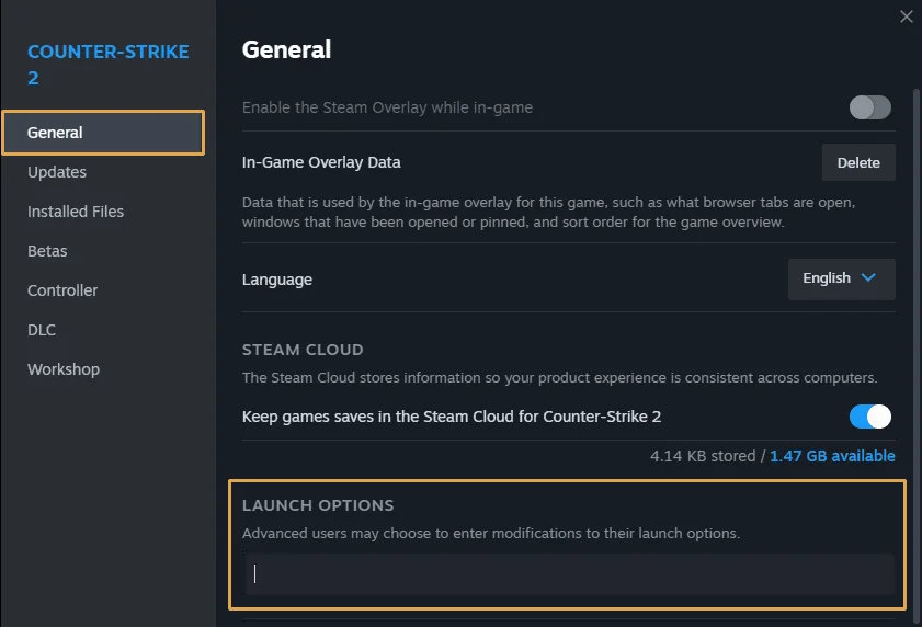 Empty CS2 launch options field in Steam
